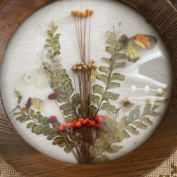 •| dried floral art - Picture 5 of 15